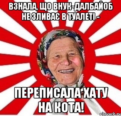 Взнала, що внук-далбайоб не зливає в туалеті - переписала хату на кота!, Мем  бабуля