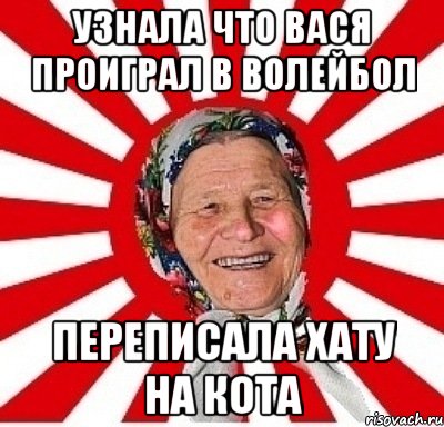 Узнала что Вася проиграл в волейбол переписала хату на кота, Мем  бабуля