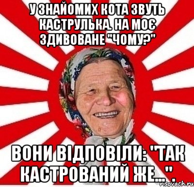 У знайомих кота звуть Каструлька. На моє здивоване "Чому?" вони відповіли: "Так кастрований же..."., Мем  бабуля