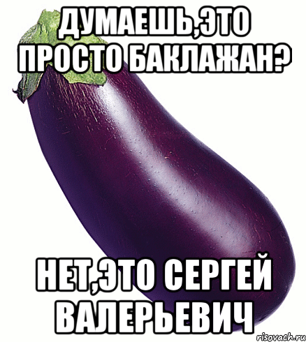 думаешь,это просто баклажан? нет,это Сергей Валерьевич