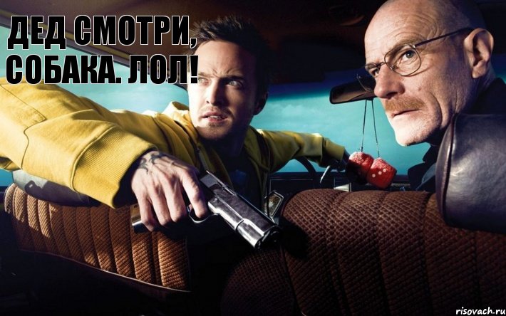 ДЕД СМОТРИ, СОБАКА. ЛОЛ!, Комикс ББ