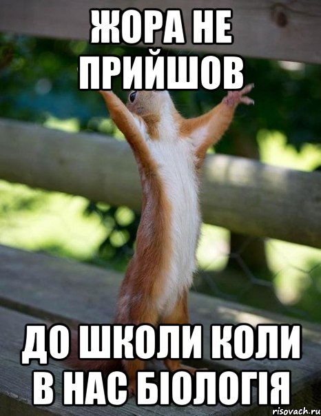 жора не прийшов до школи коли в нас біологія, Мем    белка молится