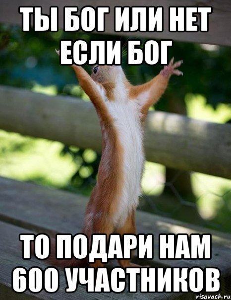 Ты бог или нет если бог то подари нам 600 участников, Мем    белка молится