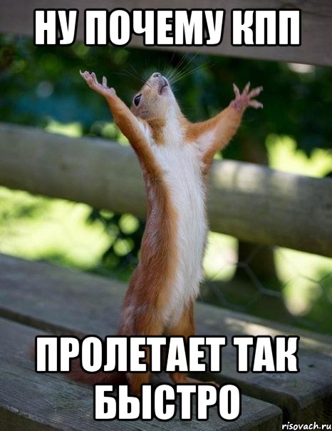 Ну почему КПП Пролетает так быстро, Мем    белка молится