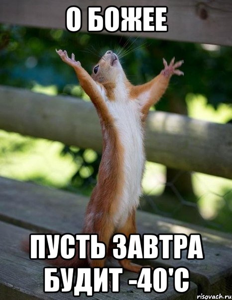 о Божее пусть завтра будит -40'С, Мем    белка молится