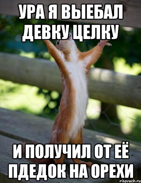 ура я выебал девку ЦЕЛКУ И ПОЛУЧИЛ ОТ ЕЁ ПДЕДОК НА ОРЕХИ, Мем    белка молится