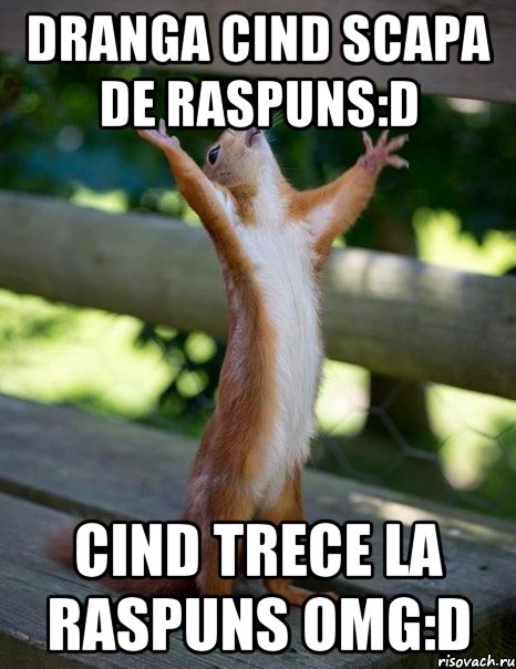 Dranga cind scapa de raspuns:D Cind trece la raspuns OMG:d, Мем    белка молится