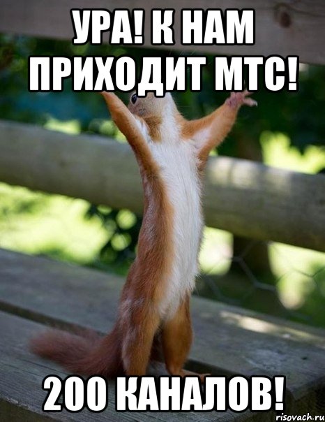 Ура! К нам приходит МТС! 200 каналов!, Мем    белка молится