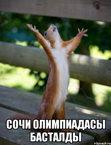 Сочи Олимпиадасы басталды, Мем    белка молится