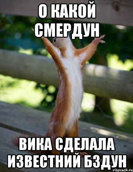 О какой смердун Вика сделала известний бздун, Мем    белка молится