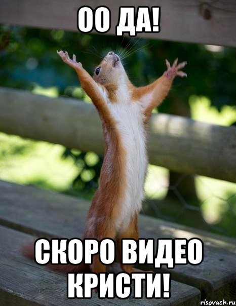 ОО да! Скоро видео Кристи!, Мем    белка молится