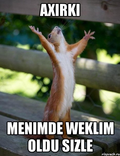 Axirki Menimde weklim oldu sizle, Мем    белка молится