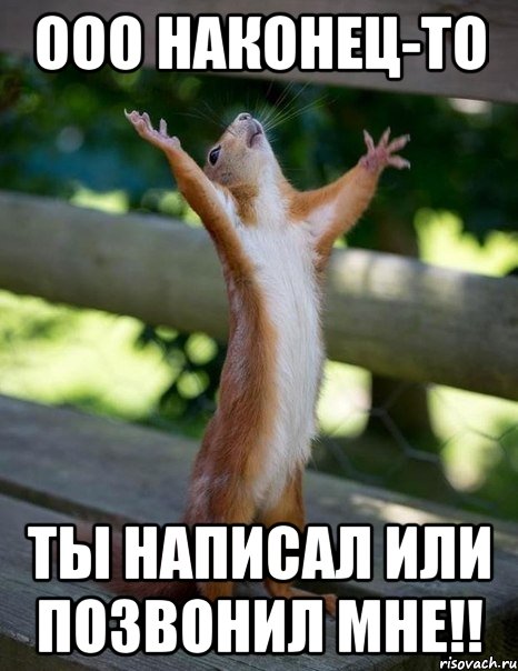 Ооо наконец-то Ты написал или позвонил мне!!, Мем    белка молится