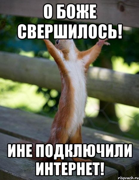 о боже свершилось! ине подключили интернет!, Мем    белка молится