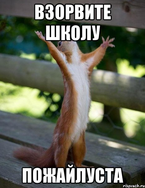 взорвите школу пожайлуста, Мем    белка молится