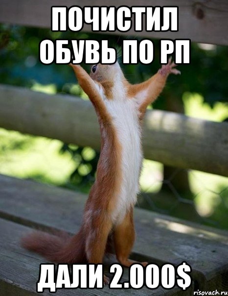 ПОЧИСТИЛ ОБУВЬ ПО РП ДАЛИ 2.000$, Мем    белка молится