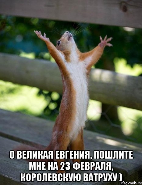  О великая Евгения, пошлите мне на 23 февраля, королевскую ватруху ), Мем    белка молится