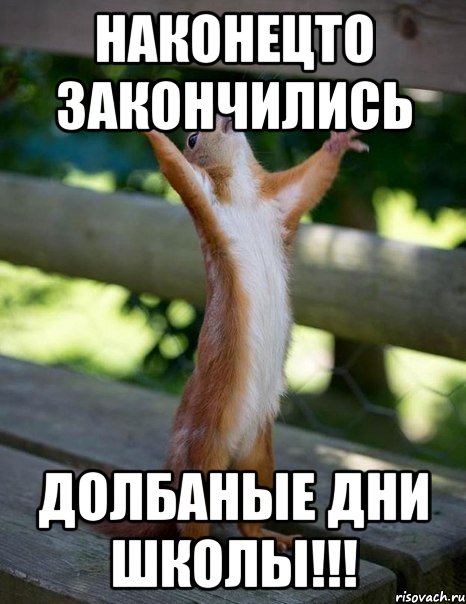 НАКОНЕЦТО ЗАКОНЧИЛИСЬ ДОЛБАНЫЕ ДНИ ШКОЛЫ!!!, Мем    белка молится