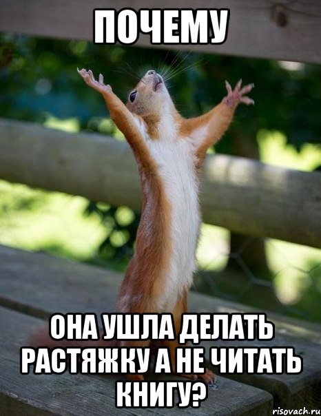 ПОЧЕМУ она ушла делать растяжку а не читать книгу?, Мем    белка молится