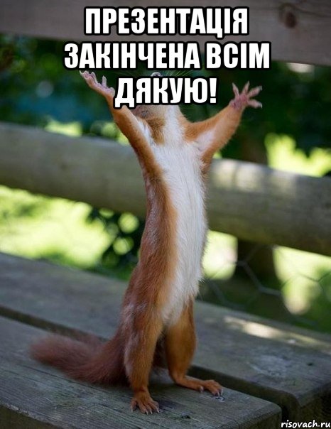 Презентація закінчена Всім дякую! , Мем    белка молится