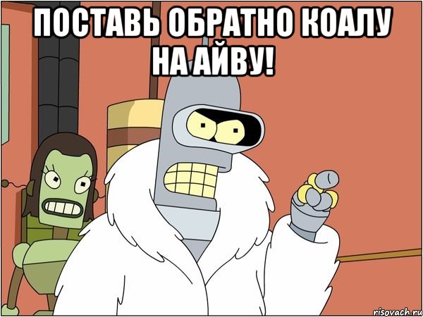 Поставь обратно коалу на айву! , Мем Бендер