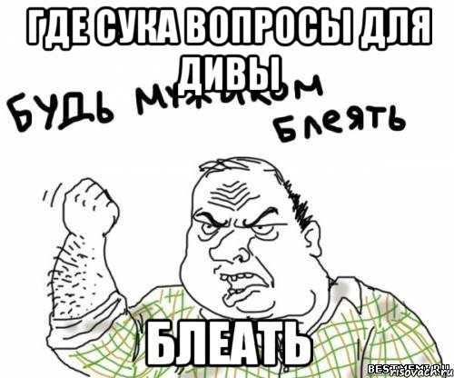 где сука вопросы для дивы блеать, Мем блять