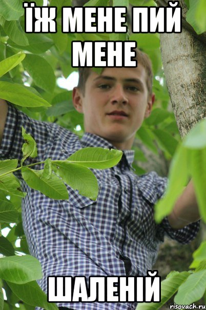 Їж мене пий мене Шаленій