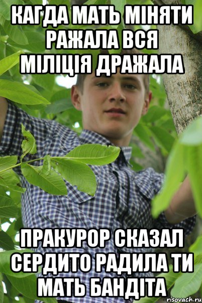 Кагда мать міняти ражала вся міліція дражала Пракурор сказал сердито радила ти мать бандіта
