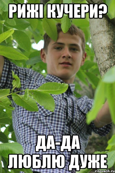 Рижі кучери? да-да люблю дуже