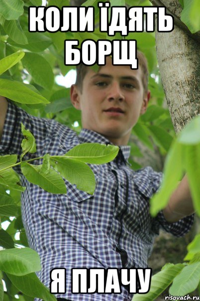 коли їдять борщ я плачу