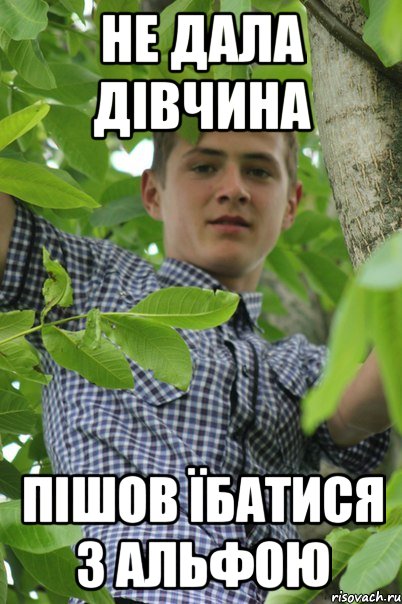 Не дала дівчина Пішов їбатися з альфою