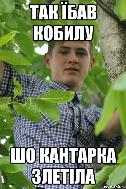 Так їбав кобилу Шо кантарка злетіла