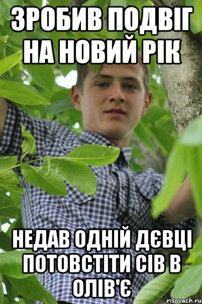 Зробив подвіг на новий рік Недав одній дєвці потовстіти сів в олів'є