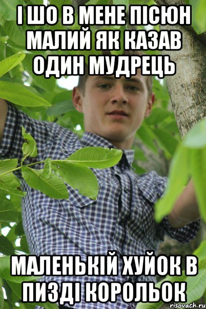 І шо в мене пісюн малий Як казав один мудрець Маленькій хуйок в пизді корольок
