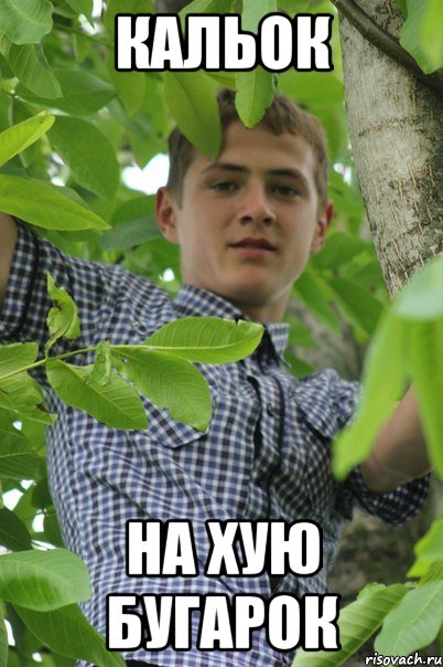 Кальок На хую бугарок