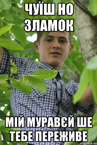 Чуїш но зламок Мій муравєй ше тебе переживе