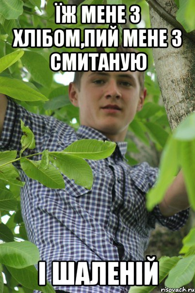 Їж мене з хлібом,пий мене з смитаную І шаленій