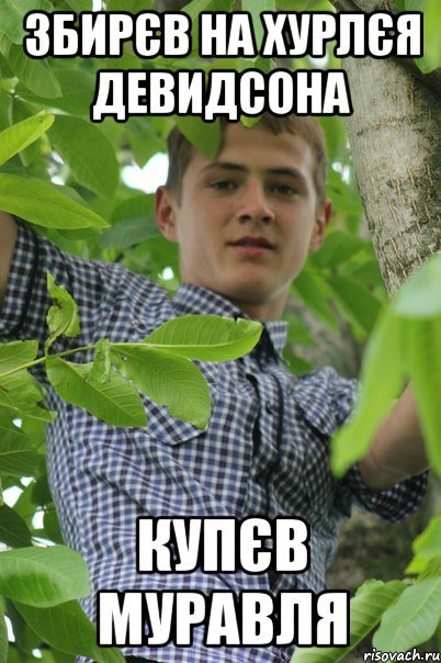 Збирєв на хурлєя девидсона Купєв муравля