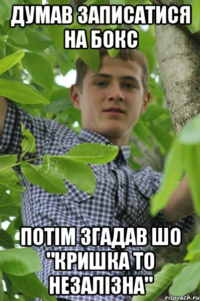 думав записатися на бокс потім згадав шо "кришка то незалізна"