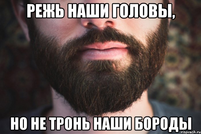 Режь наши головы, но не тронь наши бороды, Мем борода