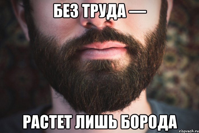 Без труда — растет лишь борода