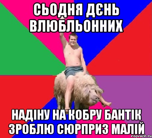 СЬОДНЯ ДЄНЬ ВЛЮБЛЬОННИХ НАДІНУ НА КОБРУ БАНТІК ЗРОБЛЮ СЮРПРИЗ МАЛІЙ