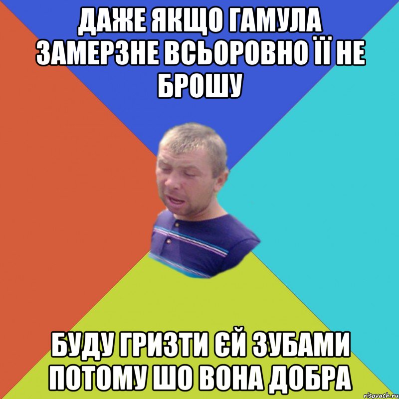 даже якщо гамула замерзне всьоровно її не брошу буду гризти єй зубами потому шо вона добра