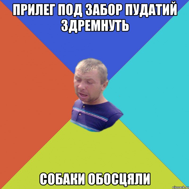 прилег под забор пудатий здремнуть собаки обосцяли