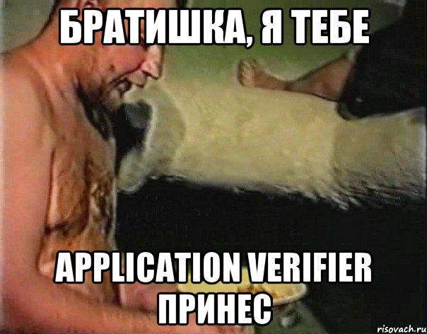 братишка, я тебе application verifier принес, Мем братишка я тебе покушать принес