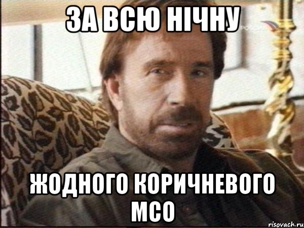 за всю нічну жодного коричневого мсо, Мем чак норрис