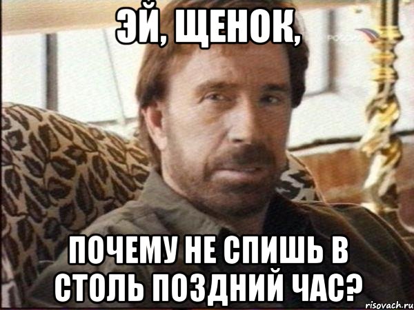 Эй, щенок, почему не спишь в столь поздний час?, Мем чак норрис