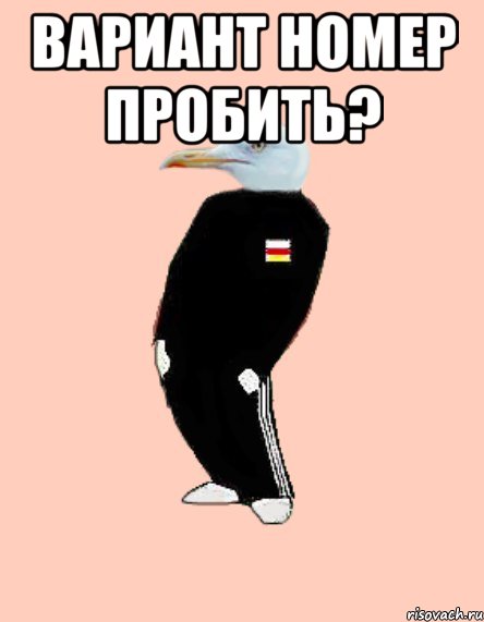 Вариант номер пробить? 