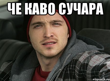 че каво сучара , Мем че каво сучара