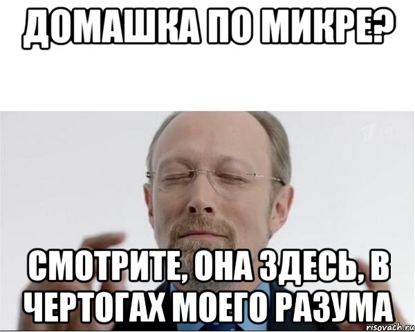 Домашка по микре? Смотрите, она здесь, в чертогах моего разума, Мем  чертоги разума